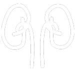 icon kidneys white - icon-kidneys-white
